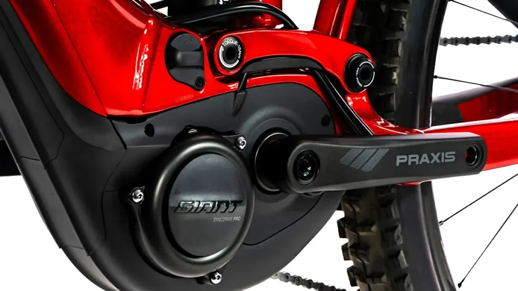 Giant Electric Cycle